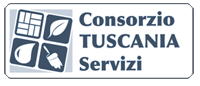 CONSORZIO TUSCANIA SERVIZI